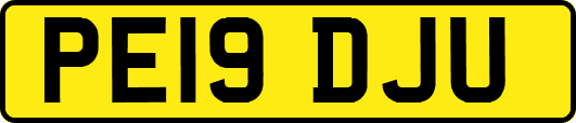 PE19DJU
