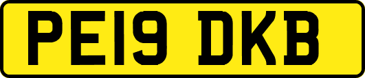 PE19DKB