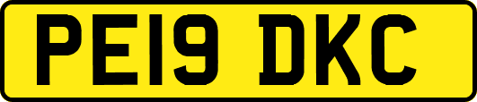 PE19DKC