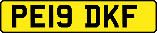PE19DKF
