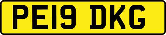PE19DKG