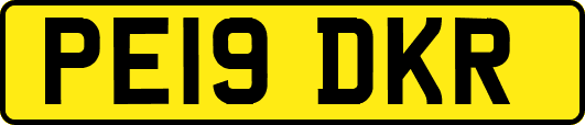 PE19DKR