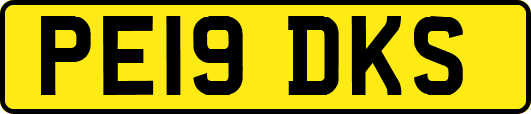 PE19DKS