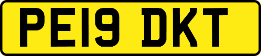 PE19DKT