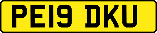 PE19DKU