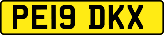 PE19DKX