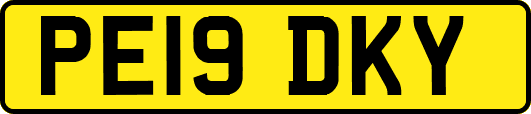 PE19DKY
