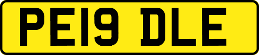PE19DLE