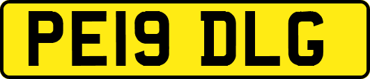 PE19DLG