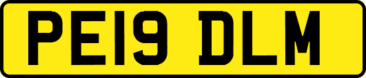 PE19DLM