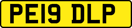 PE19DLP