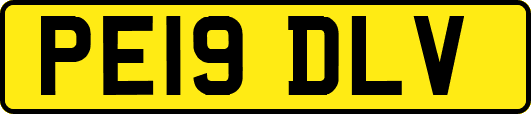 PE19DLV