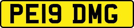 PE19DMG