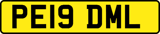 PE19DML