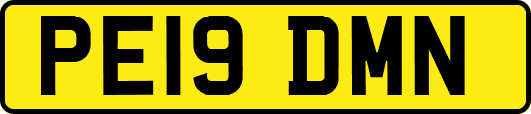PE19DMN