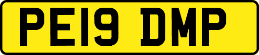PE19DMP