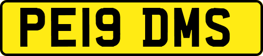 PE19DMS