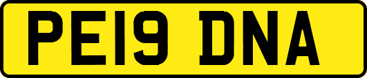 PE19DNA