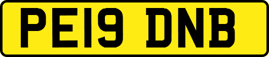 PE19DNB