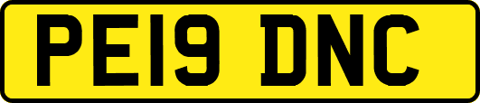 PE19DNC