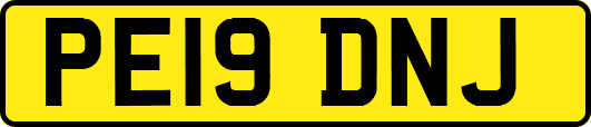 PE19DNJ