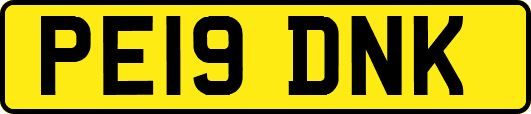 PE19DNK