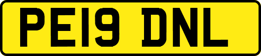 PE19DNL