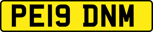 PE19DNM