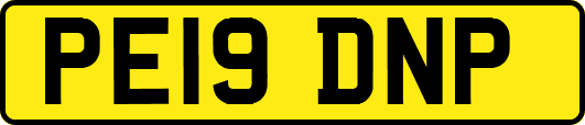 PE19DNP