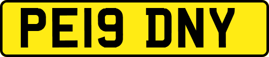 PE19DNY