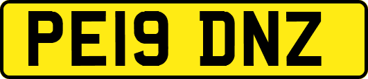 PE19DNZ