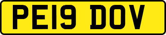 PE19DOV