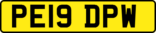 PE19DPW