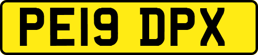 PE19DPX