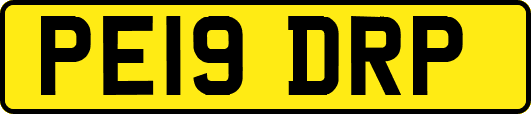 PE19DRP