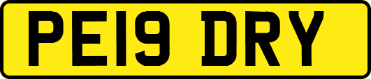 PE19DRY