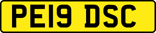 PE19DSC
