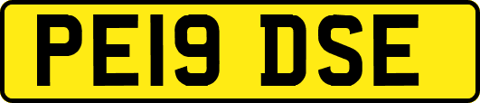 PE19DSE