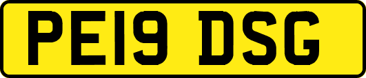 PE19DSG