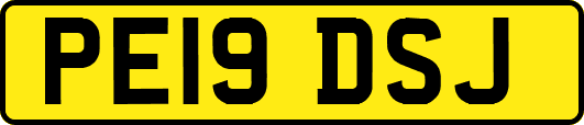 PE19DSJ