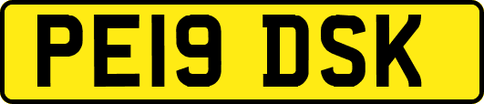 PE19DSK