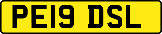 PE19DSL