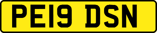 PE19DSN