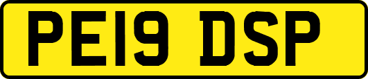 PE19DSP