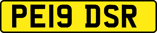 PE19DSR