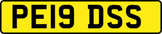 PE19DSS