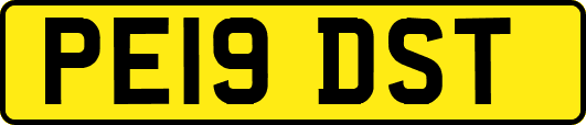PE19DST