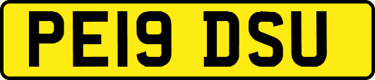 PE19DSU