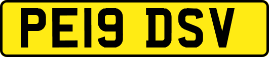 PE19DSV
