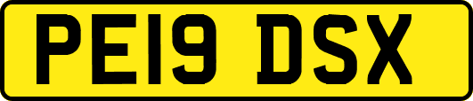 PE19DSX